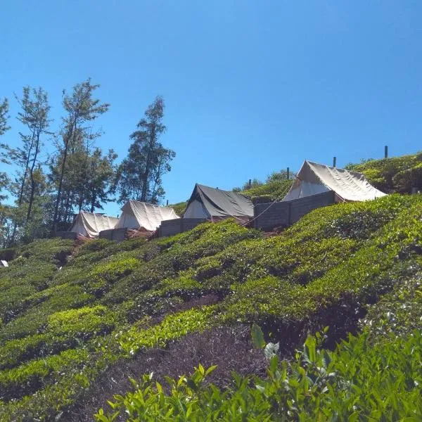 Janardan Tea Campsite Ooty, hotel di Bikkatti