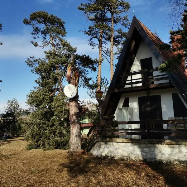 Vila Jovanovic, hotel in Gostilje