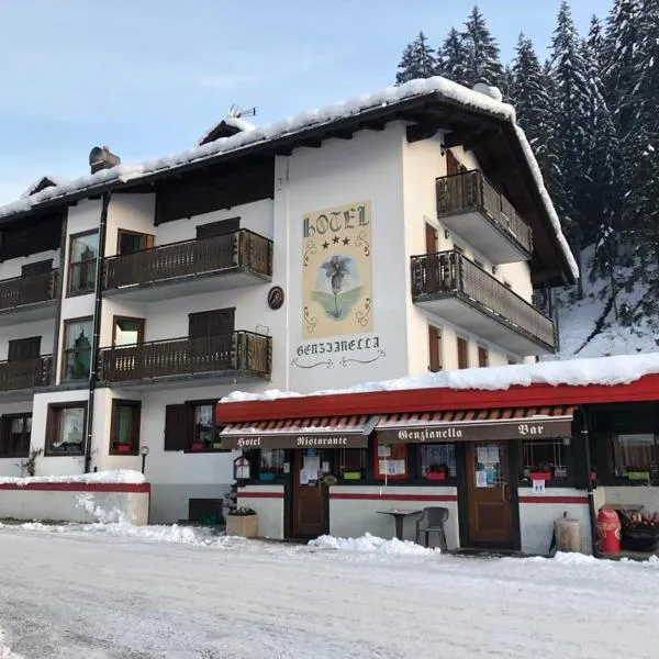 Hotel Genzianella, hotel in San Pietro di Cadore