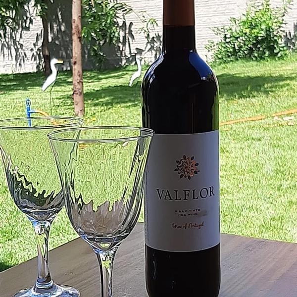 Villa Flor e Cor - Foto 4
