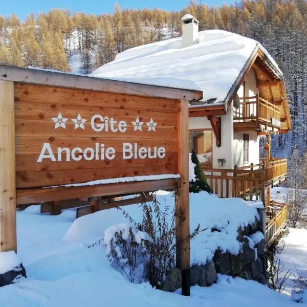 Gîte Ancolie Bleue, hotel in Aiguilles