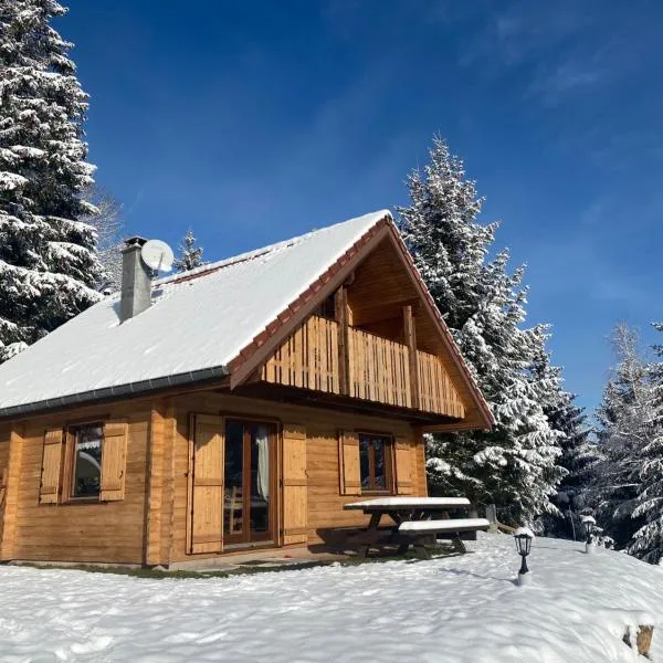 Chalet de la Grimpette au coeur de Gérardmer, hotel a Gérardmer