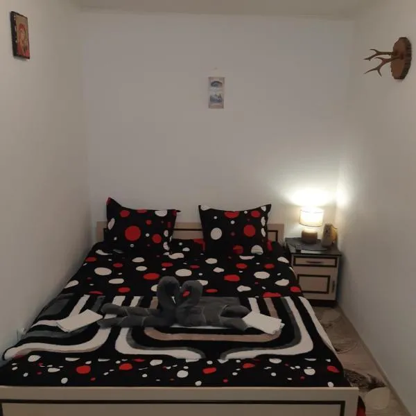 Florin Apartament, hotel i Sighişoara