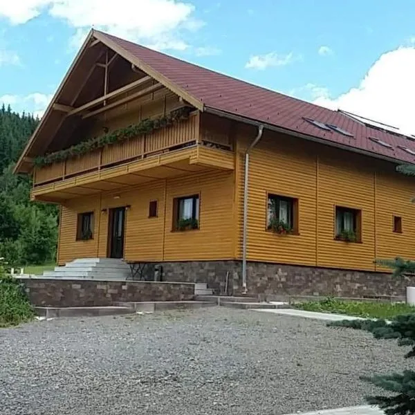 Irgó panzió、Izvoareのホテル