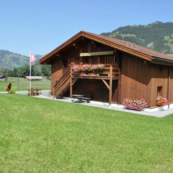 Alpenchalet Weidhaus Gstaad mit Ferienwohnung-Studio-Stockbettzimmer alle Wohneinheiten separat Buchbar, hotel din Gsteig