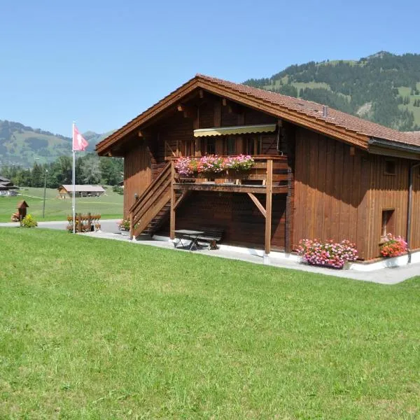 Alpenchalet Weidhaus Gstaad mit Ferienwohnung-Studio-Stockbettzimmer alle Wohneinheiten separat Buchbar โรงแรมในGsteig