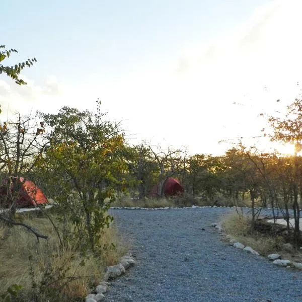 Etosha Village Campsite, hotell i Okaukuejo