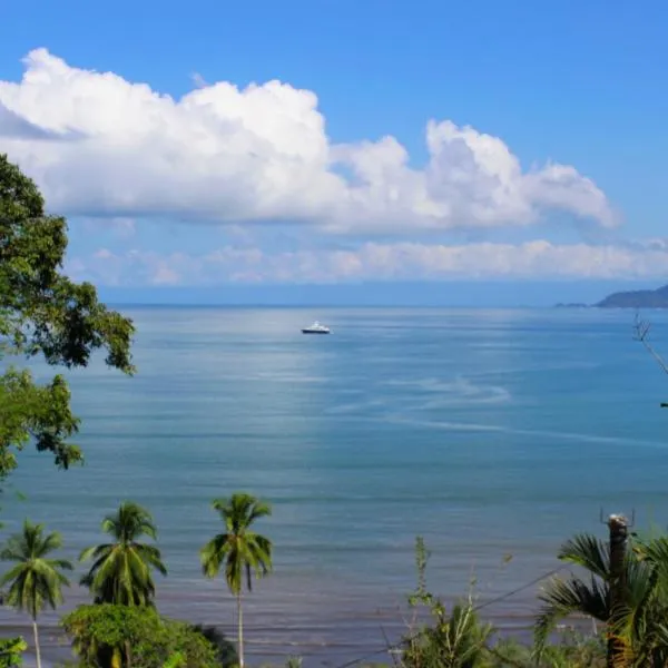 Casa Horizontes Corcovado, hotel in Drake