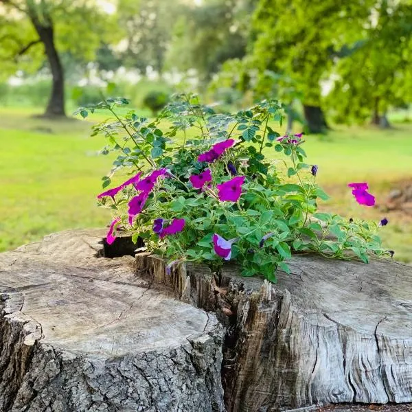 Ferienwohnung am Eiskeller, отель в городе Ankershagen