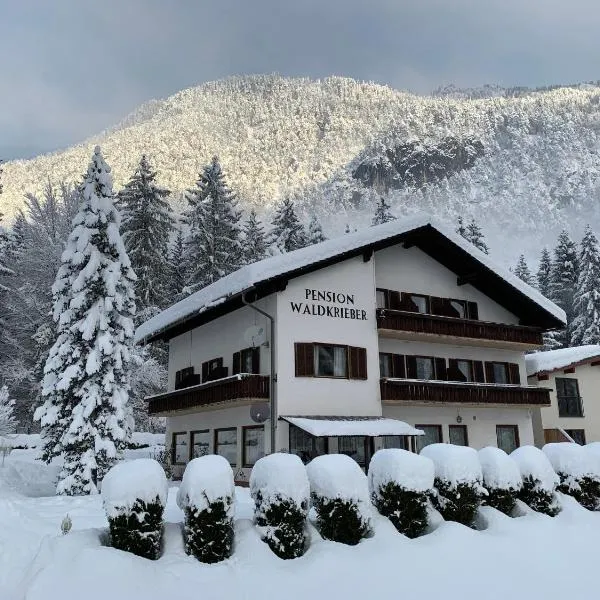 Pension & Apartments Waldkrieber, hotel v destinaci Presseggersee