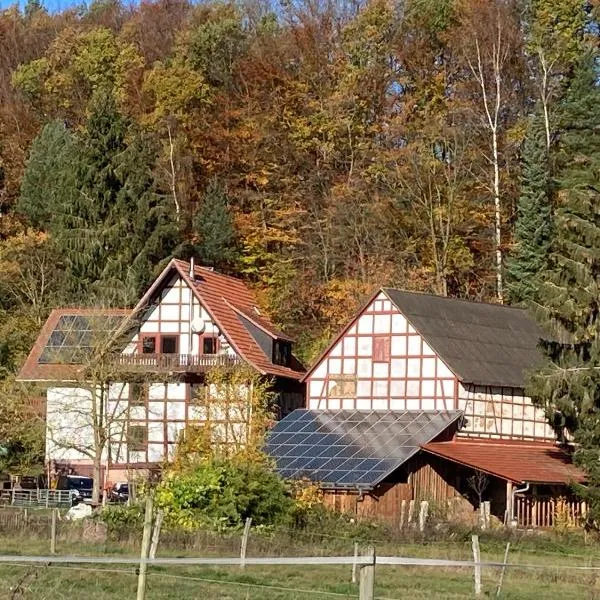 Große Ferienwohnung auf Pferdehof Mitten in der Natur, Hotel in Schwarzenborn