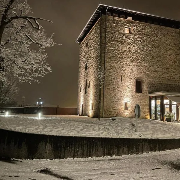 Hotel Torre Zumeltzegi, hotel in Legazpia