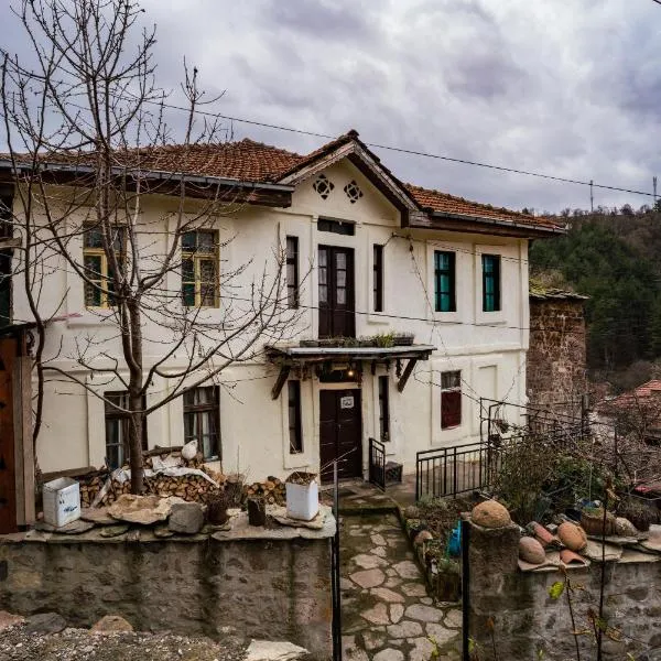 Etno House Shancheva, hotel in Radibuš