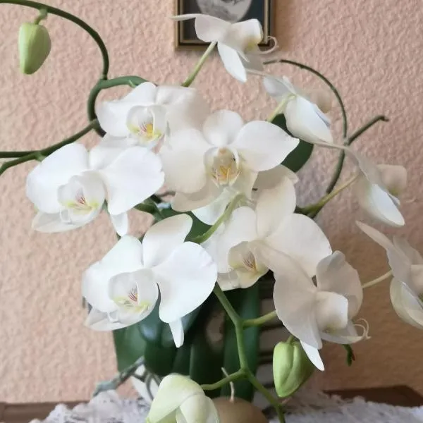 DvīņuMājas Vintage B&B, hotel v destinaci Balvi