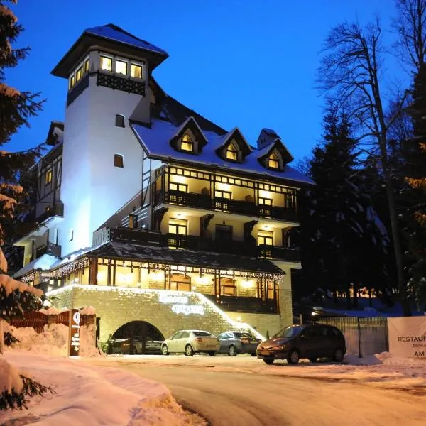 Hotel Foisorul cu Flori, hotel in Sinaia