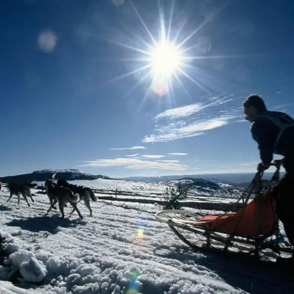 Loire-Gerbier-Mézenc，位于Sainte-Eulalie的酒店