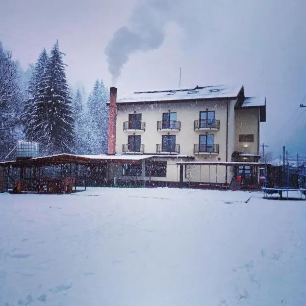 Maison Platanus, hôtel à Voineasa