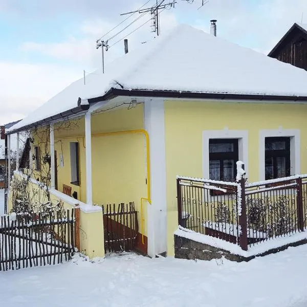 Lately renovated country house, Hotel in Trenčín