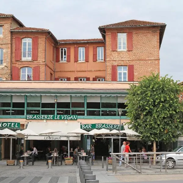 Hôtel du Vigan, hotel in Albi