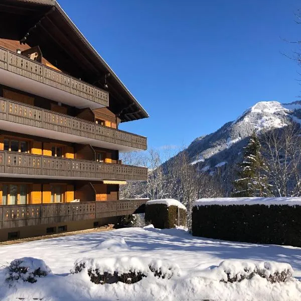 Monteilly A6, hotel in Champéry