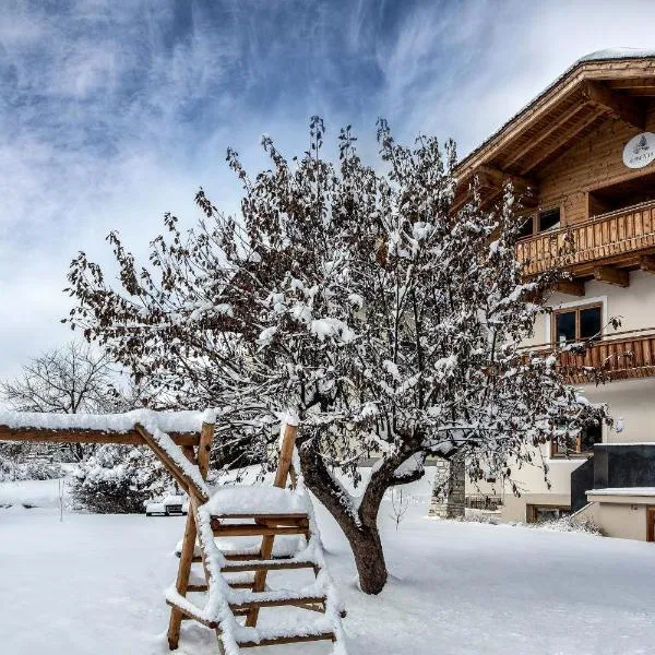 Alpine View Apartments, hotel en Niedernsill