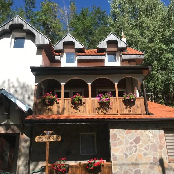 Kuca za odmor ,,Balkan”, hotel en Ćuštica