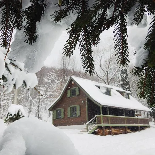 Karak Chalet，位于Izvoare的酒店