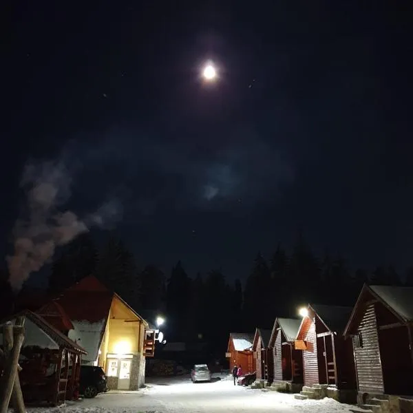 Popas Turistic Padis，帕底斯的飯店