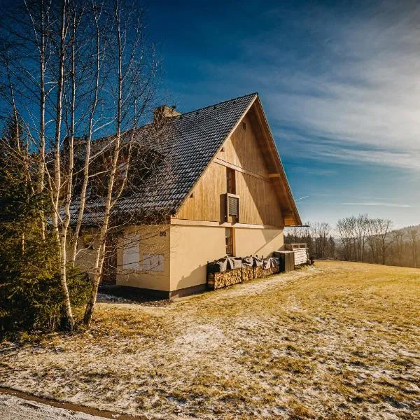 Horský apartmán U Lesa Říčky, hotel v destinaci Říčky