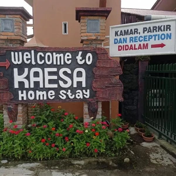 Kaesa Homestay, хотел в Берастаги