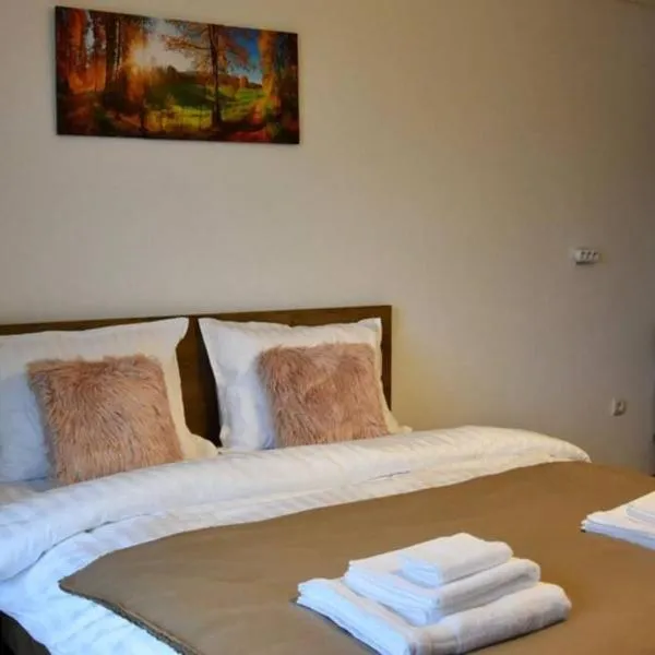 Pricop Residence, hotel in Coruia