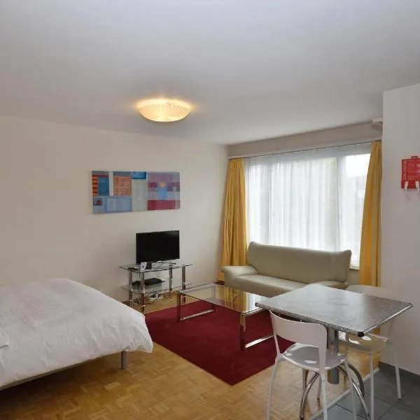 Spacious studio with balcony - Vineyard 71, hotel v mestu Zürich