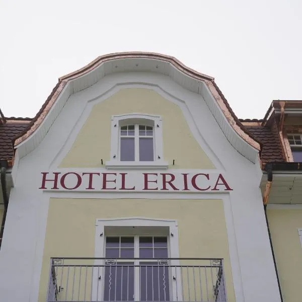 Hotel Erica, hotel a Läufelfingen