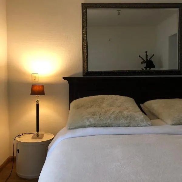 B&B de Tol – hotel w mieście Hulst