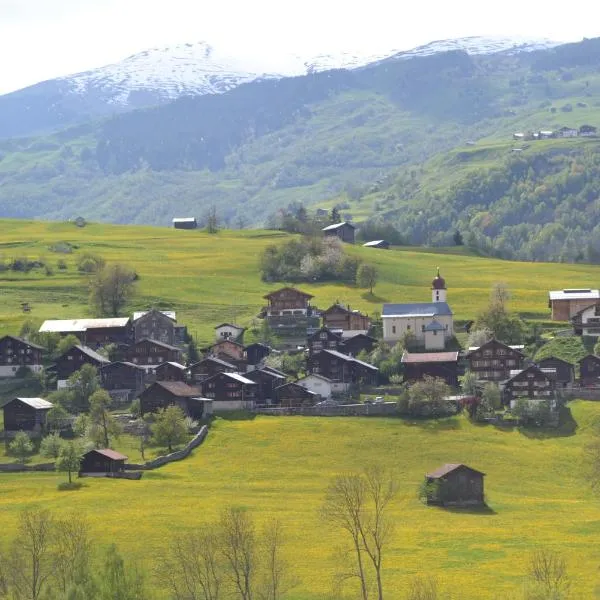 Chalets Casa da Luzi, hotell i Surcasti