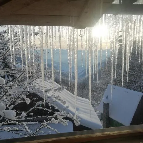 Mountain House Mijatović, hôtel à Kopaonik