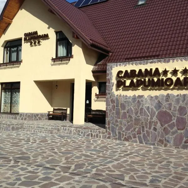 Cabana Plapumioara、Cruceaのホテル