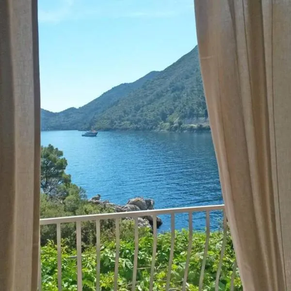 Mljet 2 You - seafront apartment 2+2, Hotel in Sobra