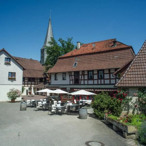 Landhotel Lutz UG, hotel in Ochsenburg