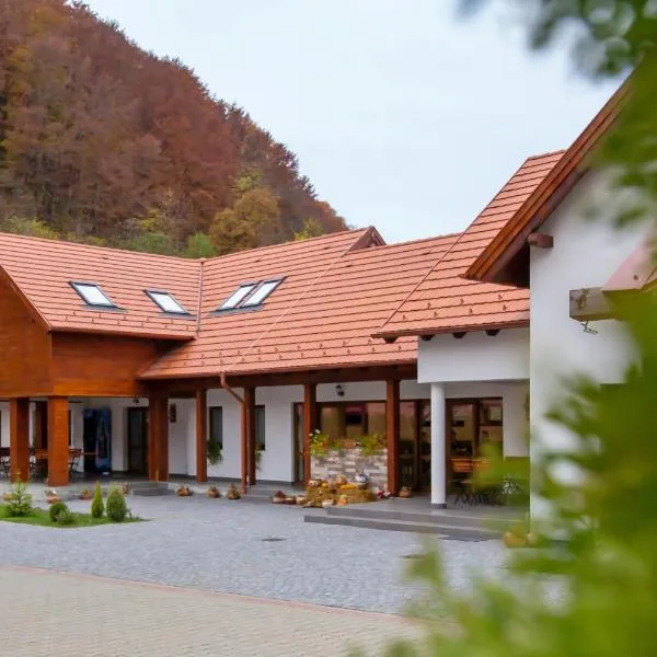 Patakmenti Panzió Spa, hotel in Corund