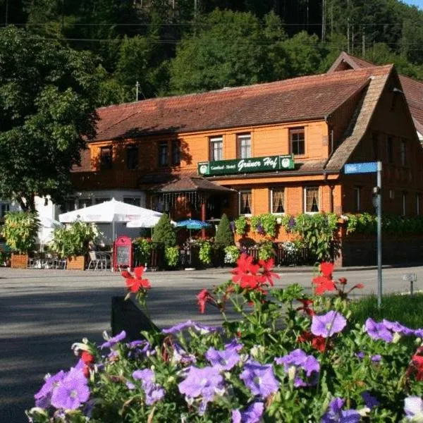 Grüner Hof, hotell i Zell am Harmersbach
