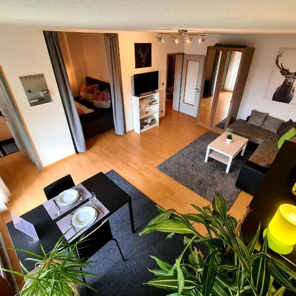 Apartment am Wendelinus Bad Kissingen, Hotel in Bad Kissingen