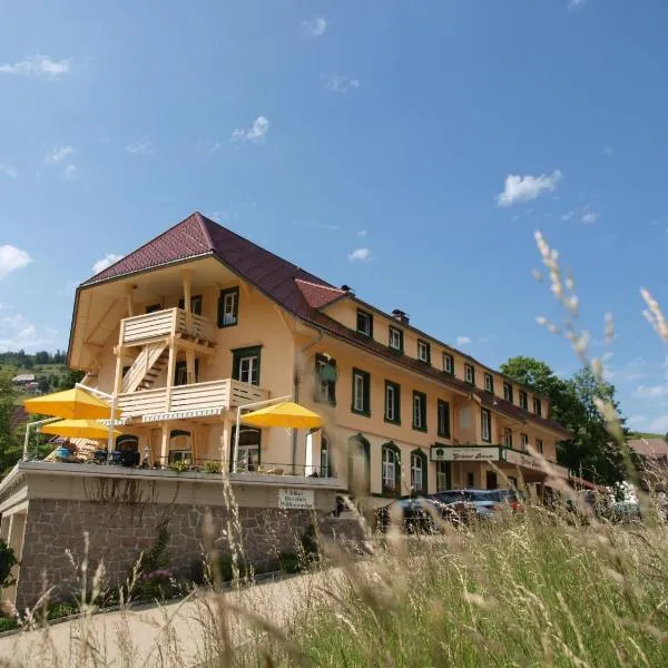 Grüner Baum Naturparkhotel & Schwarzwald-Restaurant, hotel in Fröhnd