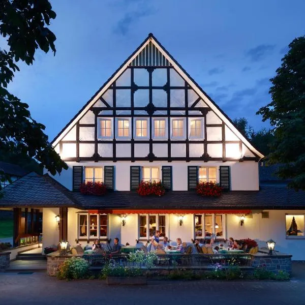 Landhotel Halbfas-Alterauge, hotel in Bürberg