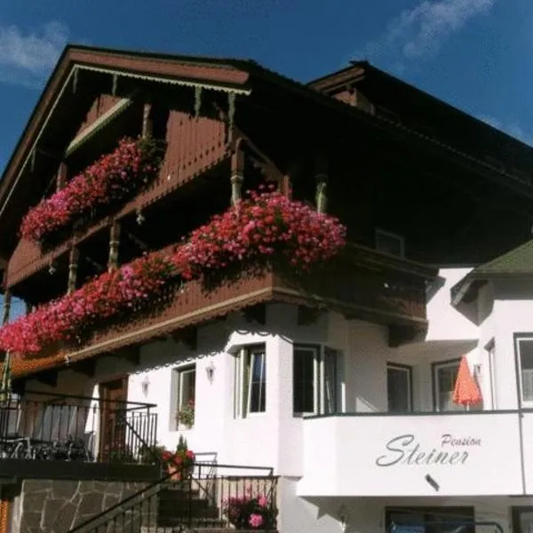 Pension Steiner, Hotel in Mayrhofen