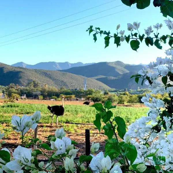 Berluda Farmhouse and Cottages, hotel en Matjiesrivier