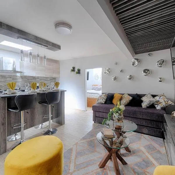 Departamento amueblado Master Suite, hotel en Aguascalientes