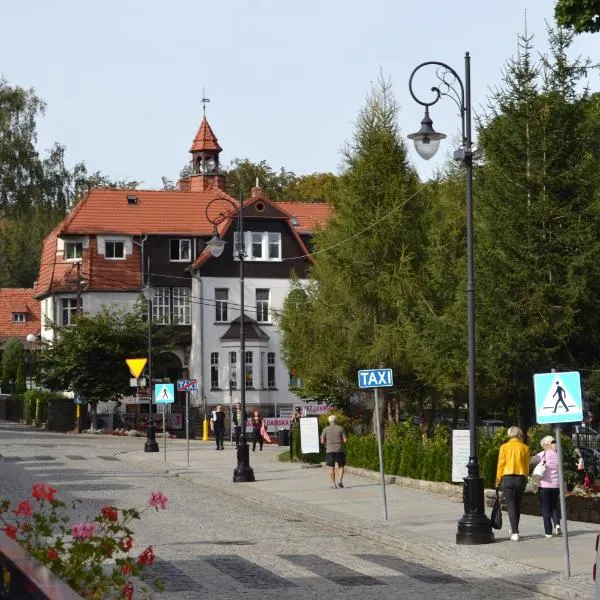 Roland Apartamenty、シフィエラドゥフ・ズドルイのホテル