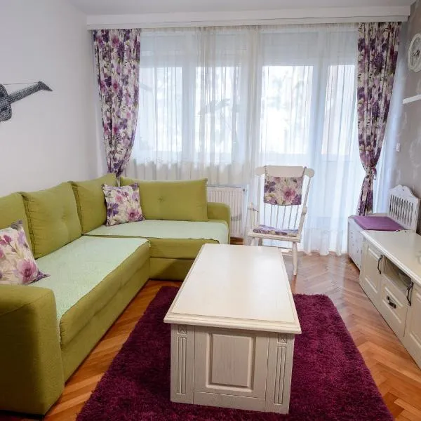 Apartman Centar Lux Valjevo, hotel v destinaci Valjevo