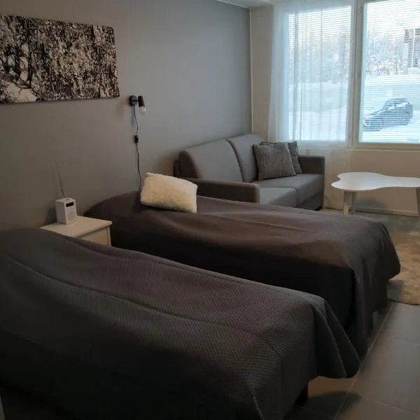 Levi Ski-Star 220, hotel in Levi
